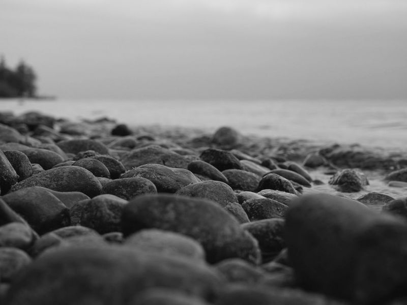 Restless, Foolish, Hungry&nbsp;Hearts